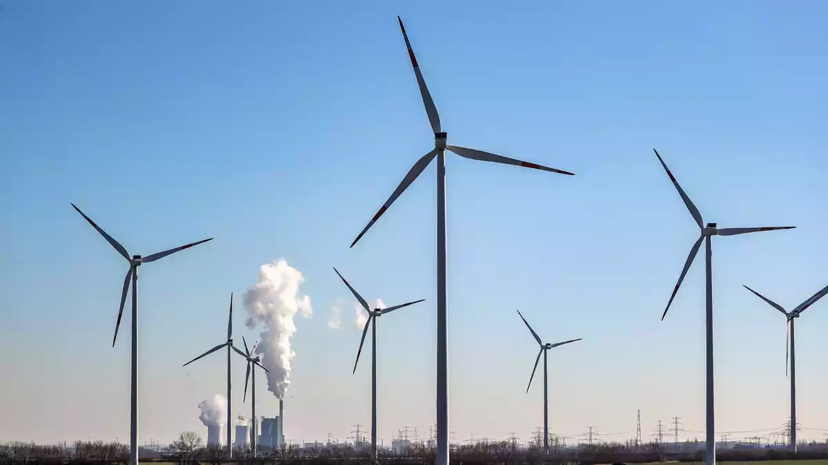 Um seine Klimaziele zu erreichen, muss Deutschland nach einer Studie noch viel Geld ausgeben (Archivbild). - Bild: Jan Woitas/dpa-Zentralbild/dpa
