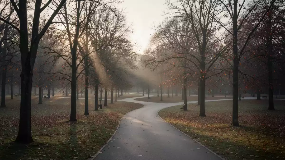 Herz-Kreislauf-Erkrankungen bleiben 2025 häufigste Todesursache in Deutschland