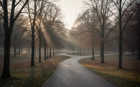 Ein ruhiger, leerer Parkweg im Herbstlicht, der eine melancholische und nachdenkliche Atmosphäre ausstrahlt. - Foto: über boerse-global.de
