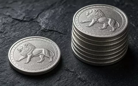 Mehrere physische Silbermünzen auf einer dunklen Schieferplatte bei natürlichem Licht. - Foto: über boerse-global.de