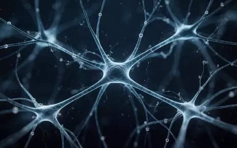 Nahaufnahme von komplexen neuronalen Netzwerken und Synapsenstrukturen in einem biologischen Forschungskontext. - Foto: über boerse-global.de