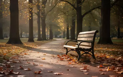 Ein ruhiger Parkweg mit einer leeren Holzbank und herbstlichem Laub unter alten Bäumen. - Foto: über boerse-global.de