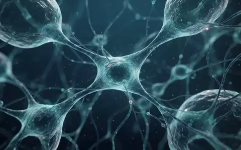 Mikroskopische Aufnahme von neuronalem Gewebe mit komplexen, biologischen Zellstrukturen in blauen und türkisen Farbtönen. - Foto: über boerse-global.de