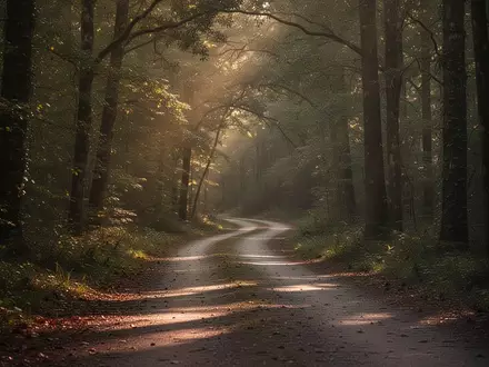 Ein einsamer, geschlängelter Waldweg im goldenen Licht, der Ruhe und Naturverbundenheit ausstrahlt. - Foto: über boerse-global.de