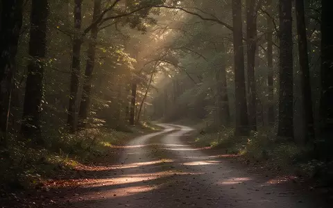 Ein einsamer, geschlängelter Waldweg im goldenen Licht, der Ruhe und Naturverbundenheit ausstrahlt. - Foto: über boerse-global.de
