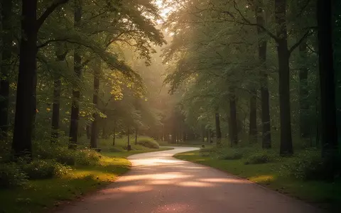 Ein friedlicher Waldweg bei Sonnenuntergang, der Ruhe und mentale Erholung symbolisiert. - Foto: über boerse-global.de