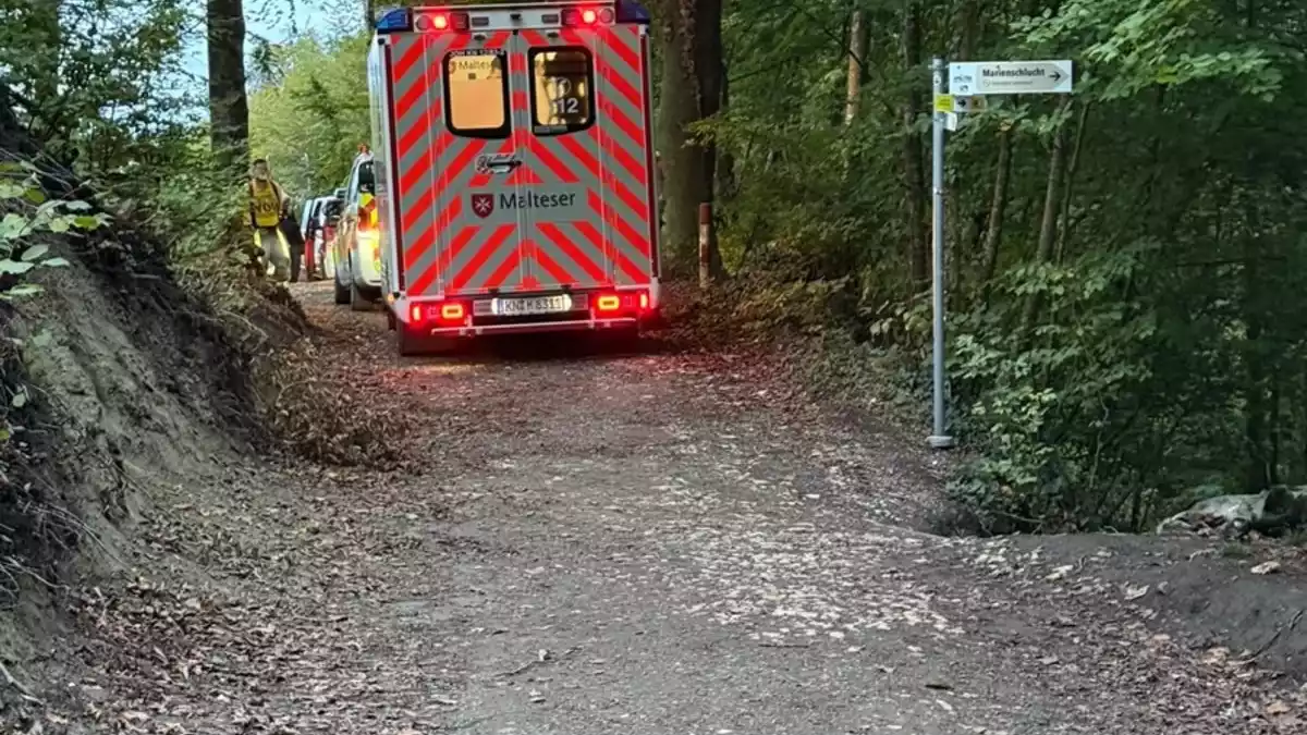 FW Allensbach: URD2 Personenrettung unwegsames Gelände - Bild: presseportal.de