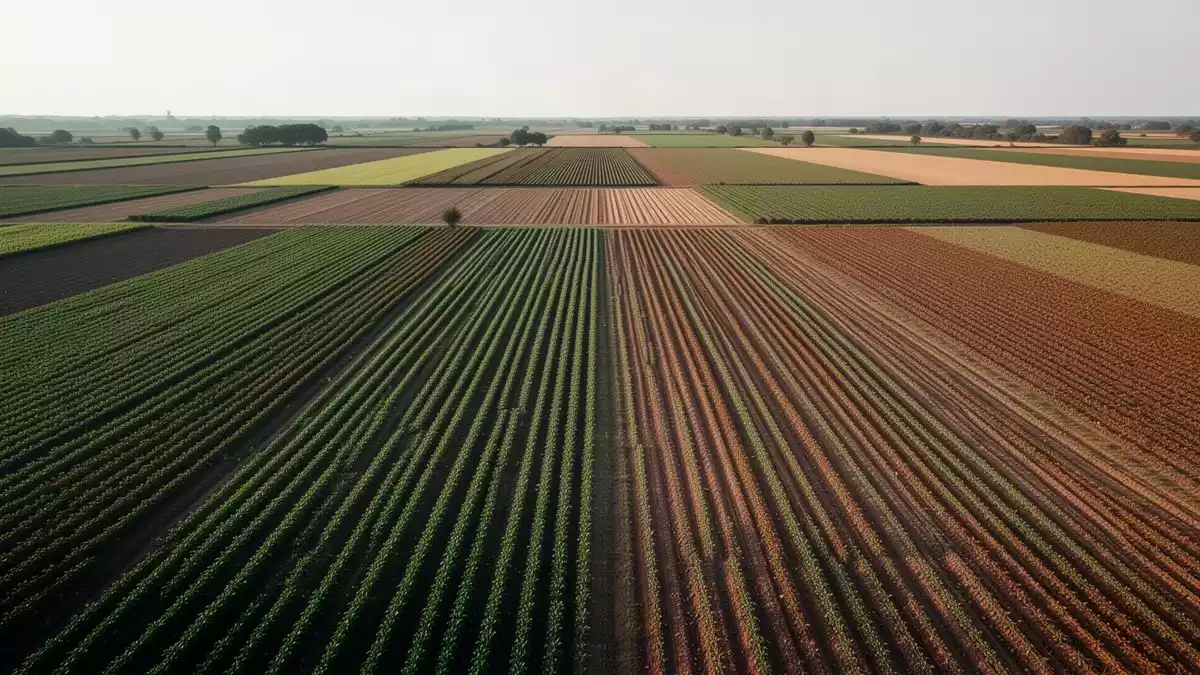 EU-Haushalt 2028 bis 2034: Agrarkürzungen und Streit um den Finanzrahmen