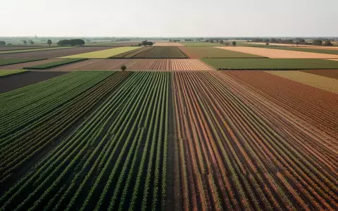 Weitläufige, strukturierte Ackerlandschaft mit verschiedenen Anbauflächen unter natürlichem Tageslicht. - Foto: über boerse-global.de