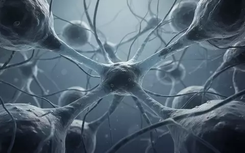 Mikroskopische Aufnahme von komplexen Gefäßstrukturen im menschlichen Gehirn, die biologische Gewebeveränderungen visualisiert. - Foto: über boerse-global.de