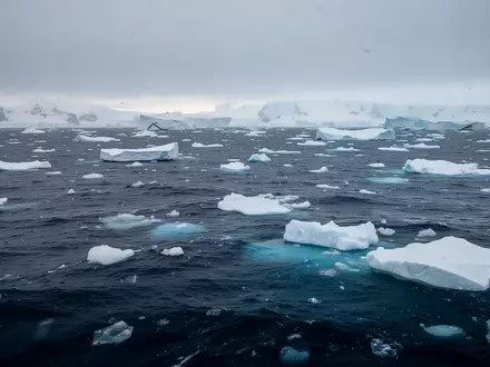 Eisige Gewässer des Südpolarmeeres mit treibenden Eisschollen unter einem bewölkten Himmel. - Foto: über boerse-global.de