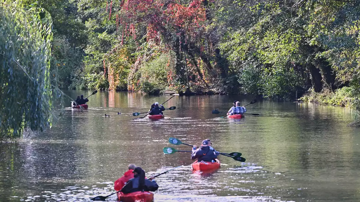 Im Spreewald funktioniere das Zusammenspiel von Naturschutz, nachhaltiger Nutzung und regionaler Wertschöpfung, loben die Autoren. - Bild: Patrick Pleul/dpa