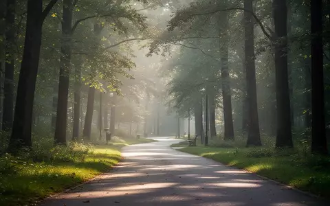 Ein ruhiger, sonnendurchfluteter Waldweg in einem Park, der zu körperlicher Aktivität und Bewegung einlädt. - Foto: über boerse-global.de