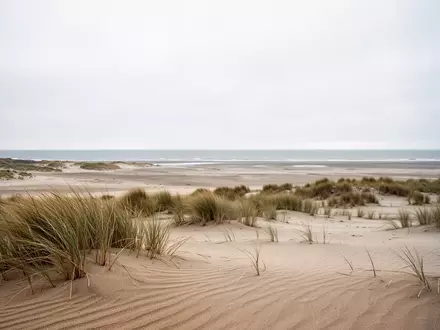 Weite, menschenleere Dünenlandschaft auf der Nordseeinsel Juist an einem bewölkten Herbsttag. - Foto: über boerse-global.de