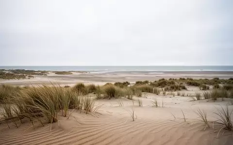 Weite, menschenleere Dünenlandschaft auf der Nordseeinsel Juist an einem bewölkten Herbsttag. - Foto: über boerse-global.de