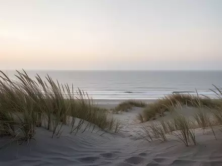 Eine ruhige Küstenlandschaft mit Sanddünen und Dünengras an einem nebligen Morgen am Meer. - Foto: über boerse-global.de