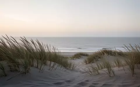 Eine ruhige Küstenlandschaft mit Sanddünen und Dünengras an einem nebligen Morgen am Meer. - Foto: über boerse-global.de
