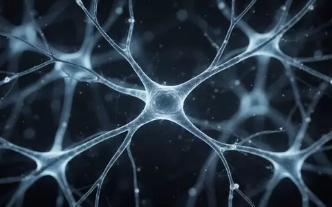 Mikroskopische Aufnahme eines komplexen neuronalen Netzwerks, das regenerative Prozesse im Nervengewebe darstellt. - Foto: über boerse-global.de