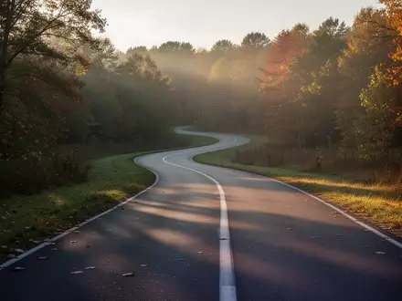 Eine leere Laufstrecke durch eine herbstliche Naturlandschaft im Morgenlicht. - Foto: über boerse-global.de