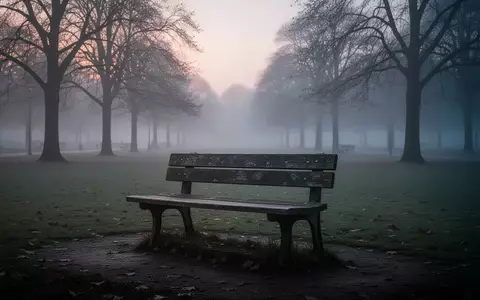 Eine einsame Parkbank im morgendlichen Nebel als Symbol für Stille und Reflexion. - Foto: über boerse-global.de