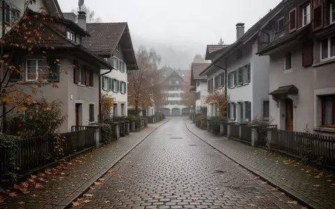 Eine menschenleere, ruhige Wohnstrasse in einer Schweizer Kleinstadt an einem trüben Nachmittag. - Foto: über boerse-global.de