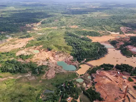 Für den Abbau von Gold – sowohl legal als auch illegal – wurden riesige Flächen im Amazonas-Regenwald abgeholzt.  - Foto: Larissa Schwedes/dpa