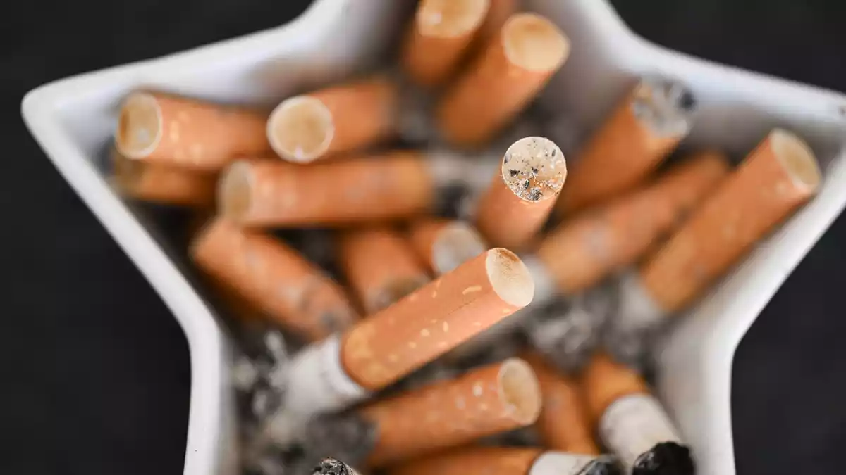 Der Kauf dieser Zigaretten hat dem Staat Steuern gebracht - oder sind die Kippen etwa vom Schwarzmarkt? - Bild: Bernd Weißbrod/dpa
