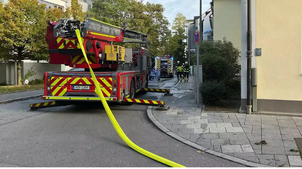 FW-M: Zwei Katzen bei Zimmerbrand verstorben (Am Westkreuz) - Bild: presseportal.de