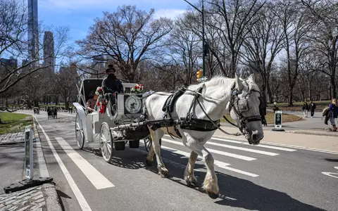 Die Kutschen rollen seit rund 150 Jahren durch den Central Park. (Archivbild) - Foto: Bianca Otero/ZUMA Press Wire/dpa