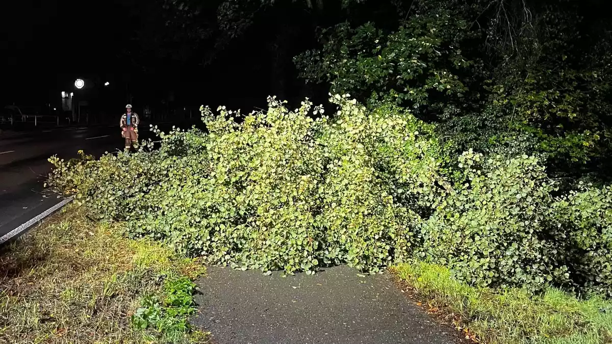 FW Hünxe: Baum blockiert Radweg - Bild: presseportal.de