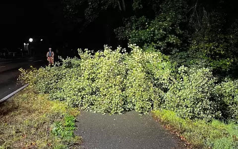 FW Hünxe: Baum blockiert Radweg - Foto: presseportal.de