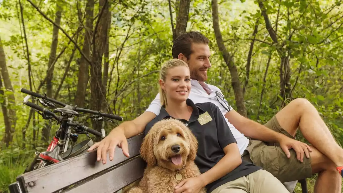 Aktive Auszeiten, Wellness und Urlaub mit Hund im Herbst - Bild: presseportal.de