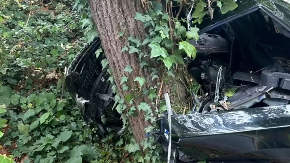 POL-MI: Pkw kommt von der Fahrbahn ab und prallt gegen Baum - Bild: presseportal.de