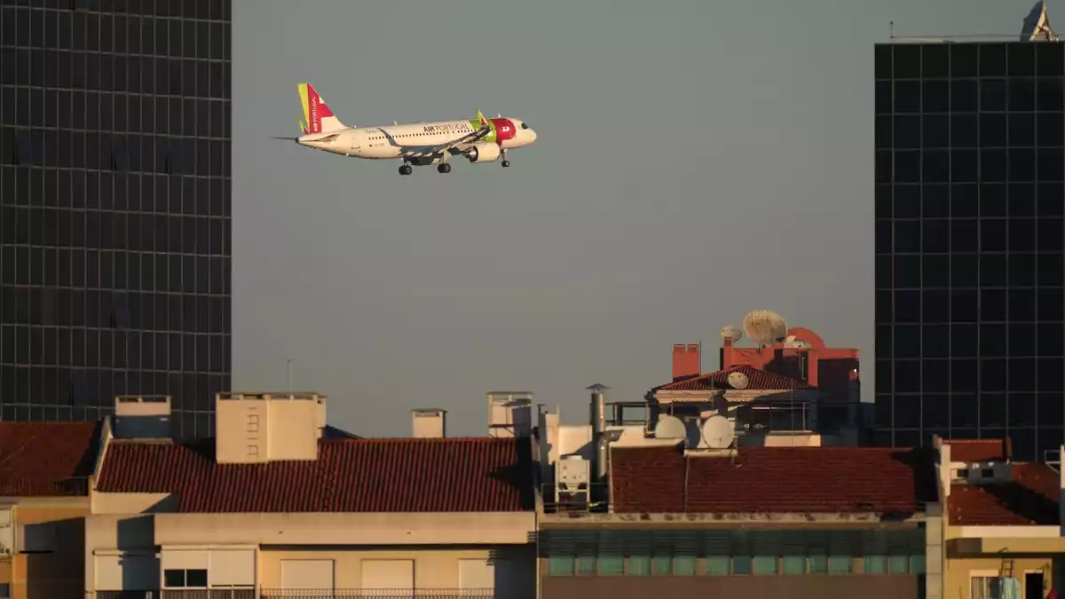 Die Lufthansa ist dem Einstieg bei der portugiesischen Airline Tap einen wichtigen Schritt näher gekommen.  - Bild: Armando Franca/AP/dpa