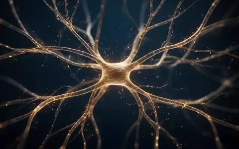 Abstrakte Darstellung neuronaler Netzwerke und synaptischer Verbindungen als leuchtende Lichtbahnen vor dunklem Hintergrund. - Foto: über boerse-global.de