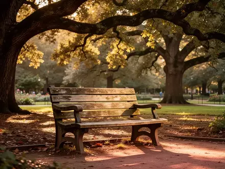 Eine sonnendurchflutete Parkbank in einem ruhigen, grünen Garten, die eine Atmosphäre sozialer Verbundenheit symbolisiert. - Foto: über boerse-global.de