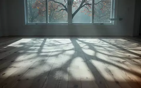 Ein heller, minimalistischer Raum mit Holzboden und herbstlichem Lichteinfall durch ein Fenster. - Foto: über boerse-global.de