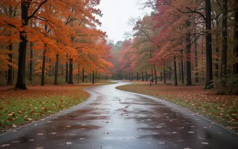 Ein geschwungener, herbstlicher Gehweg in einem öffentlichen Park mit buntem Laub und feuchtem Boden bei Tageslicht. - Foto: über boerse-global.de