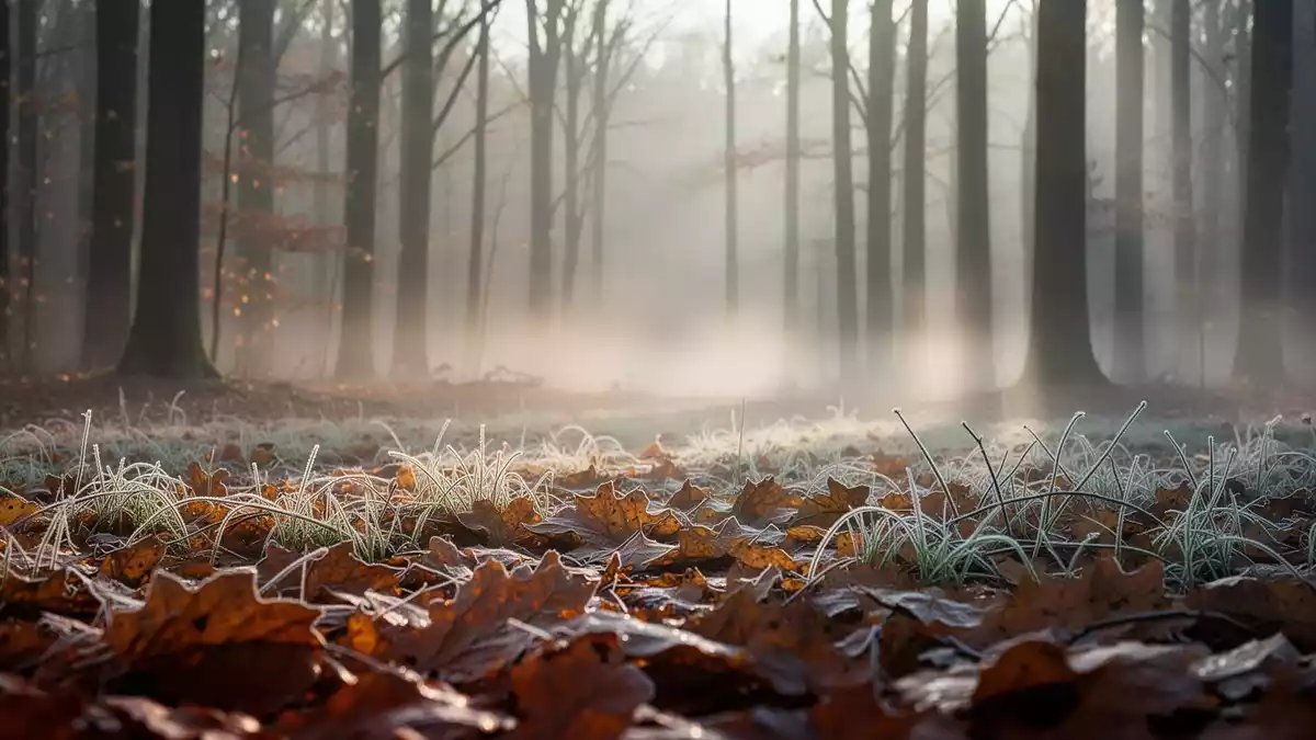 Herbstliche Rücken- und Gelenkbeschwerden: Ursachen und hilfreiche Maßnahmen