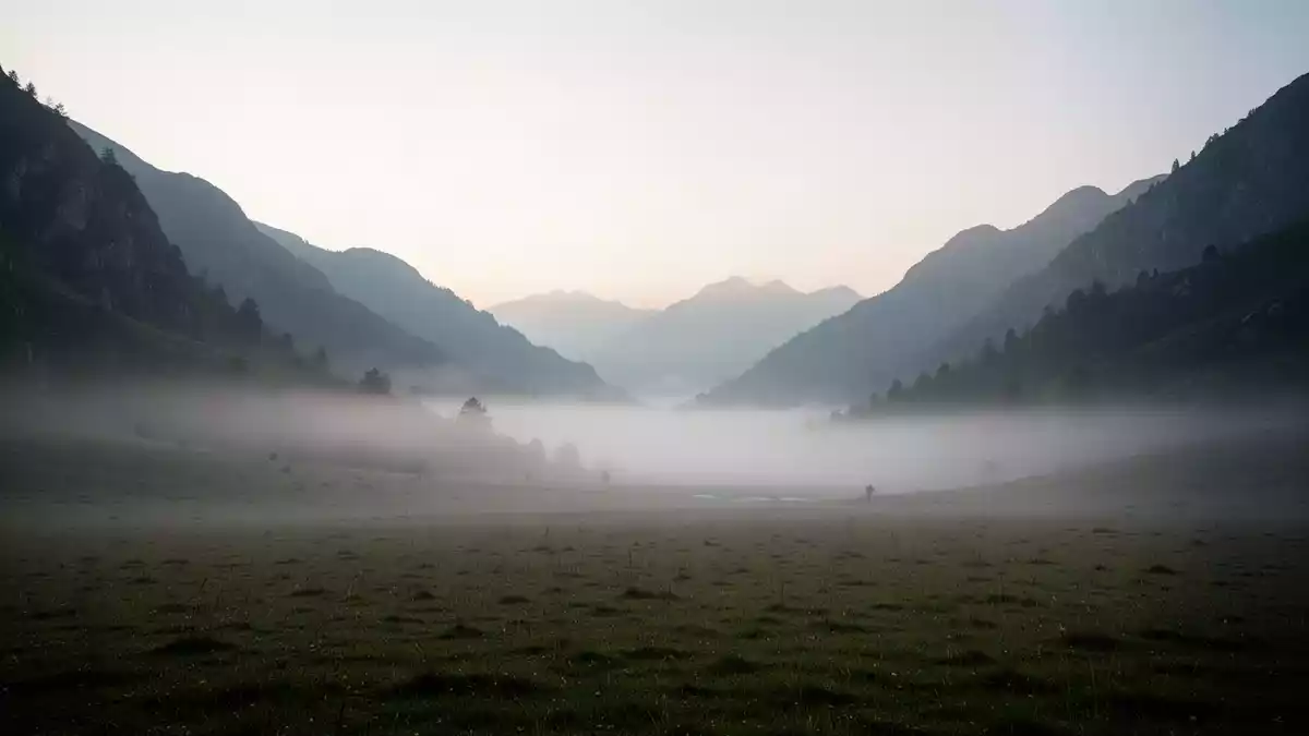 Stille als Ausgleich: Retreats und Naturaktivitäten gegen Stress