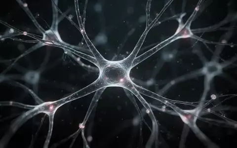 Abstrakte Darstellung eines neuronalen Netzwerks mit leuchtenden Lichtfasern in einem dunklen Raum. - Foto: über boerse-global.de