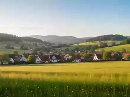 Eine weitläufige, sonnige Wiese am Rande eines Dorfes mit sanften Hügeln im Hintergrund bei goldenem Licht. - Foto: über boerse-global.de