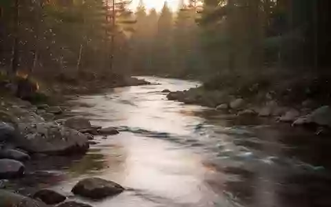 Ein ruhiger Fluss in einem Waldgebiet bei Sonnenuntergang, der die Bedeutung eines kontinuierlichen, gesunden Kreislaufs symbolisiert. - Foto: über boerse-global.de