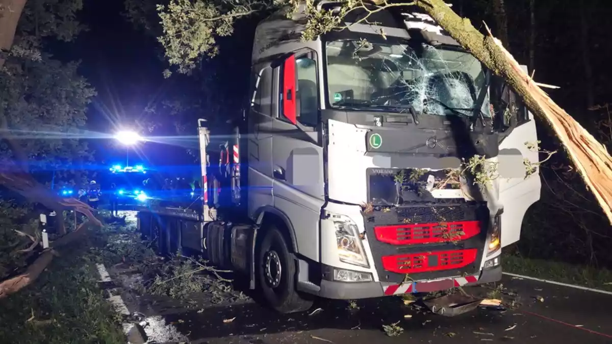 FW-ROW: Großer Ast trifft fahrenden LKW auf L161 - Bild: presseportal.de
