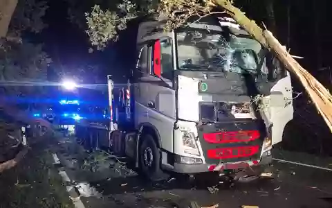 FW-ROW: Großer Ast trifft fahrenden LKW auf L161 - Foto: presseportal.de