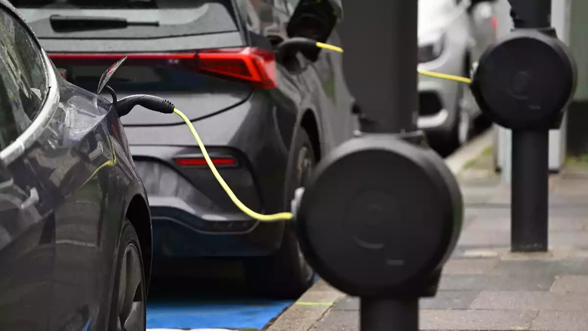 Die Elektroautozulassungen steigen in allen Bundesländern - aber längst nicht gleichmäßig. (Archivbild) - Bild: Arne Dedert/dpa