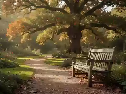 Ein sonniger Park mit einem leeren Holzbank an einem Kiesweg unter einem großen Baum, der eine ruhige und friedliche Atmosphäre ausstrahlt. - Foto: über boerse-global.de