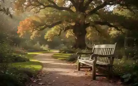 Ein sonniger Park mit einem leeren Holzbank an einem Kiesweg unter einem großen Baum, der eine ruhige und friedliche Atmosphäre ausstrahlt. - Foto: über boerse-global.de