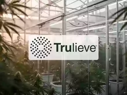 Moderne Gewächshausanlage für den Anbau von Medizinalcannabis in sanftem Morgenlicht. - Foto: über boerse-global.de
