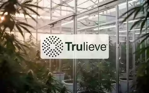 Moderne Gewächshausanlage für den Anbau von Medizinalcannabis in sanftem Morgenlicht. - Foto: über boerse-global.de